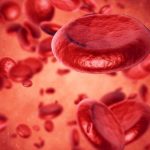 Kırmızı kan hücresi (RBC) nedir?  Yüksek kırmızı kan hücreleri (RBC) ve düşük kırmızı kan hücreleri (RBC) ne anlama gelir?