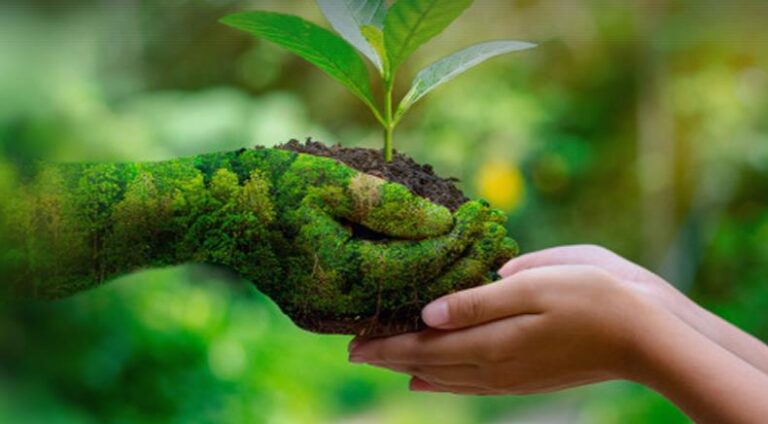 Çevre Danışmanlık Firmaları İşletmeler İçin Neden Önemlidir
