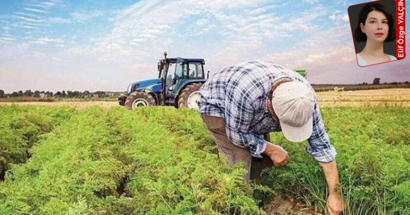 Tarımsal üretimde alarm: Dışa bağımlılık gıda güvenliğini tehdit ediyor – Son Dakika Tarım Haberleri