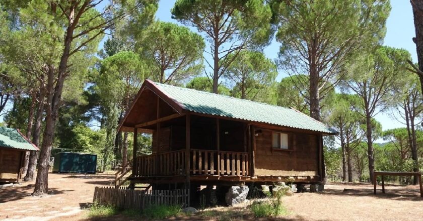 Bungalov kiralama vaadiyle milyonluk vurgun: 22 tutuklama