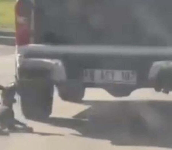 Muğla’da dehşet verici olay: Kamyonete bağlı köpek yaşamını yitirdi